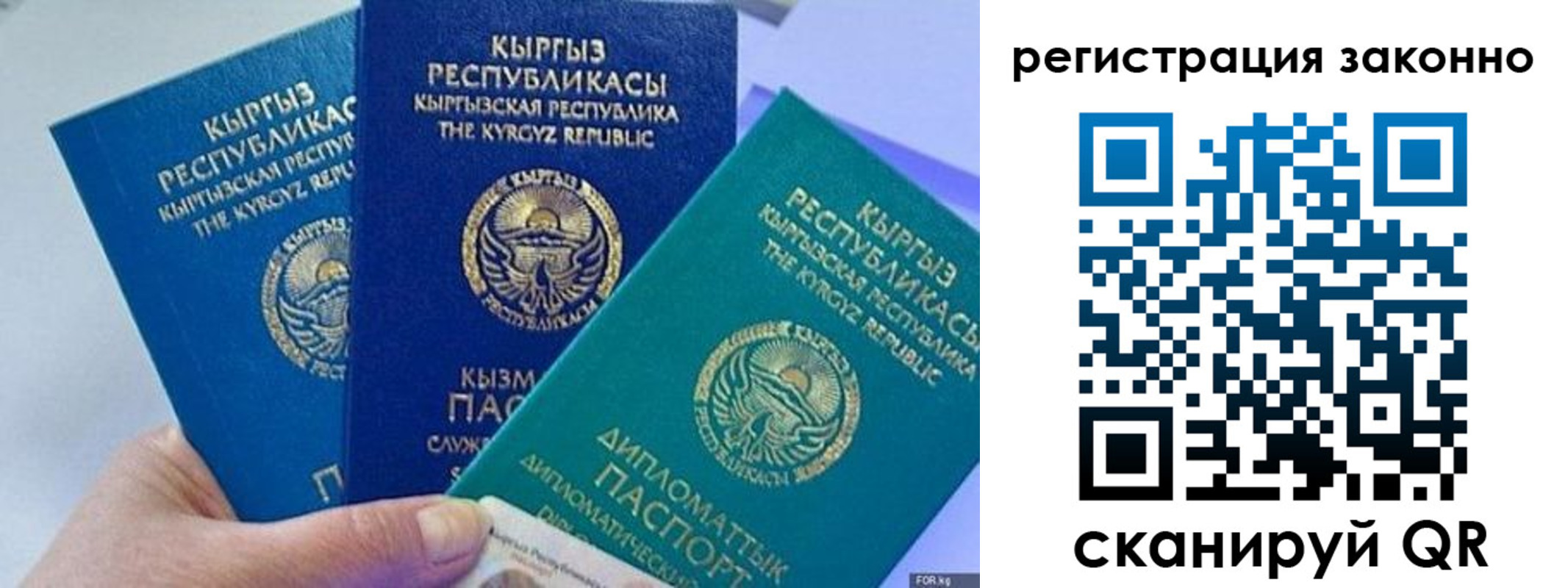 временная регистрация гарантия в Камышлове
